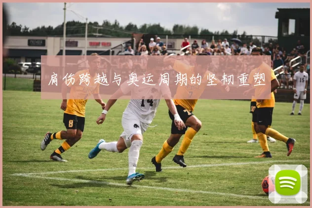 肩伤跨越与奥运周期的坚韧重塑