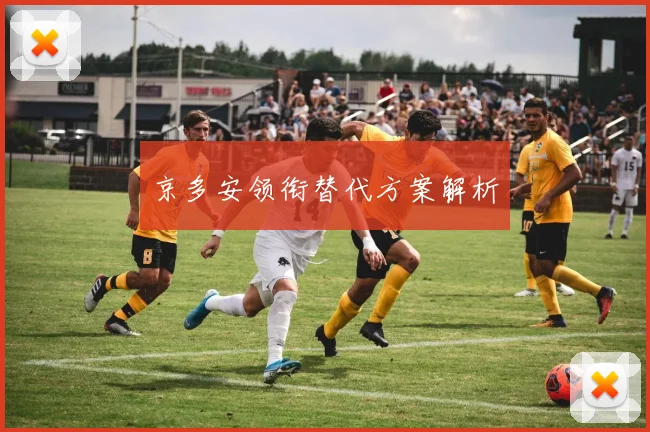 京多安领衔替代方案解析