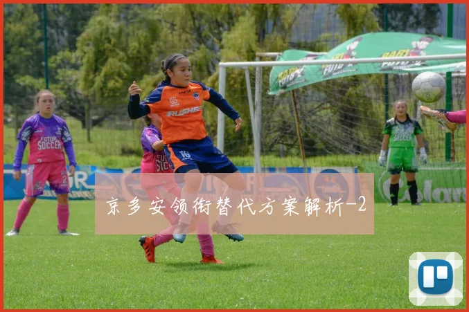 京多安领衔替代方案解析