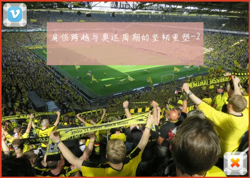 肩伤跨越与奥运周期的坚韧重塑